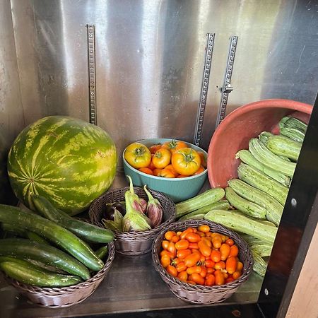 Eco Glamping With Pool Between Nafplio And アルゴス エクステリア 写真