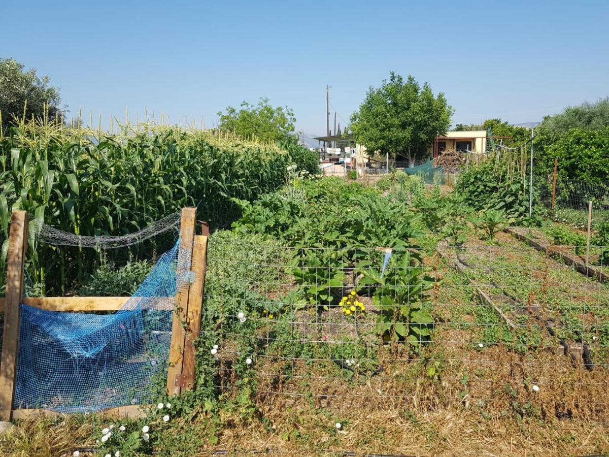 Eco Glamping With Pool Between Nafplio And アルゴス エクステリア 写真