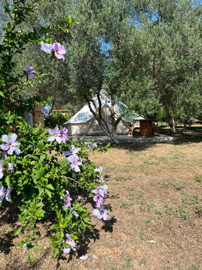 Eco Glamping With Pool Between Nafplio And アルゴス エクステリア 写真