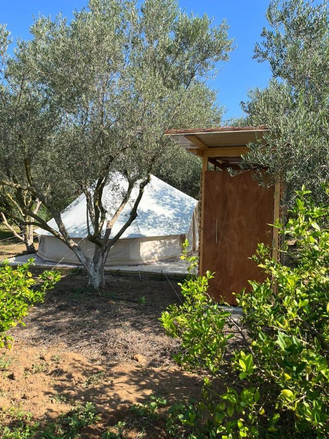 Eco Glamping With Pool Between Nafplio And アルゴス エクステリア 写真