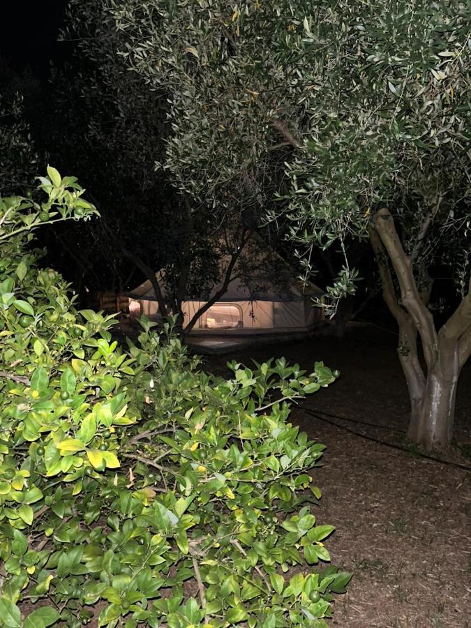 Eco Glamping With Pool Between Nafplio And アルゴス エクステリア 写真