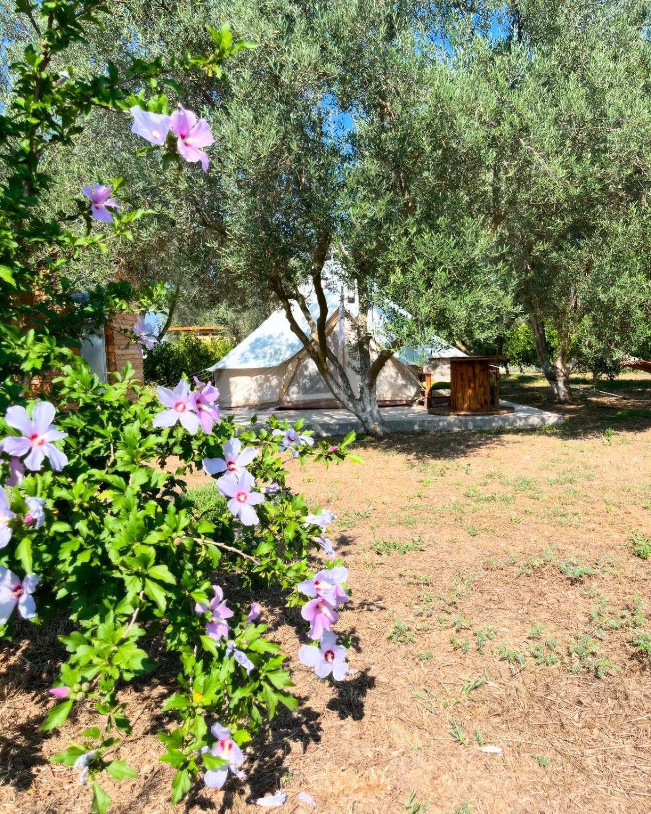 Eco Glamping With Pool Between Nafplio And アルゴス エクステリア 写真