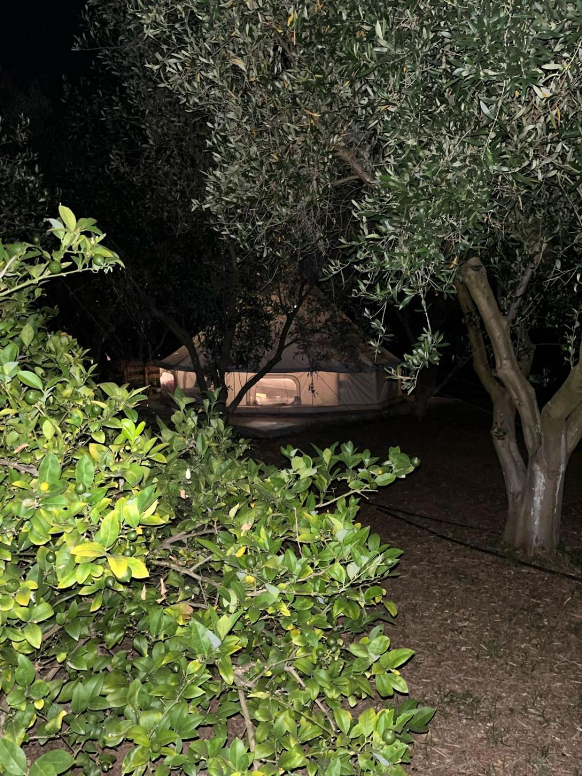 Eco Glamping With Pool Between Nafplio And アルゴス エクステリア 写真